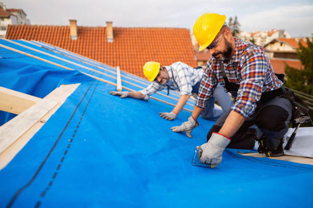Best Roof Gutter Cleaning  in Fayette, MS
