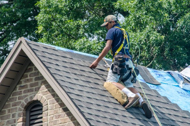 Best Residential Roof Replacement  in Fayette, MS